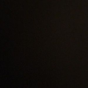 Meet your Posher, Bailey